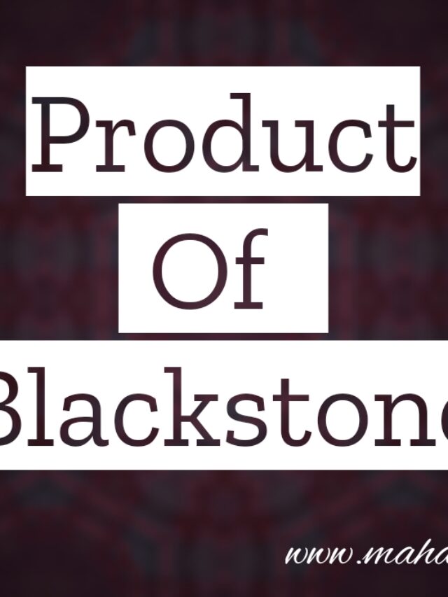 Is Blackstone the biggest company?